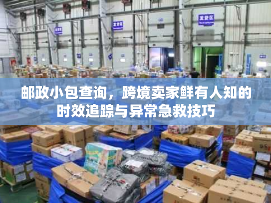 邮政小包查询，跨境卖家鲜有人知的时效追踪与异常急救技巧