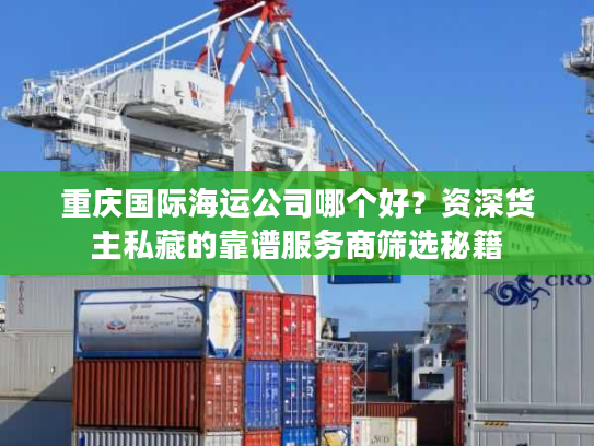 重庆国际海运公司哪个好？资深货主私藏的靠谱服务商筛选秘籍