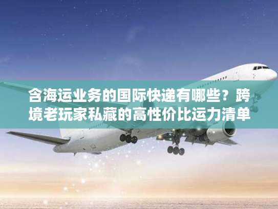含海运业务的国际快递有哪些？跨境老玩家私藏的高性价比运力清单