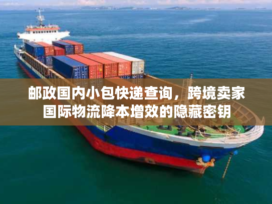 邮政国内小包快递查询，跨境卖家国际物流降本增效的隐藏密钥