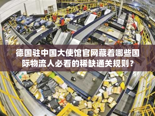 德国驻中国大使馆官网藏着哪些国际物流人必看的稀缺通关规则? 德国驻中国大使馆官网藏着哪些国际物流人必看的稀缺通关规则?