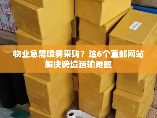物业急需喷雾采购？这6个直邮网站解决跨境运输难题