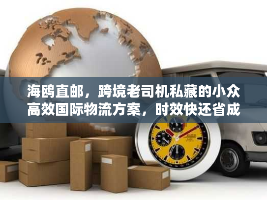 海鸥直邮,跨境老司机私藏的小众高效国际物流方案,时效快还省成本? 海鸥直邮,跨境老司机私藏的小众高效国际物流方案,时效快还省成本?