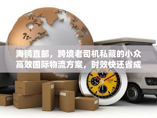海鸥直邮,跨境老司机私藏的小众高效国际物流方案,时效快还省成本? 海鸥直邮,跨境老司机私藏的小众高效国际物流方案,时效快还省成本?