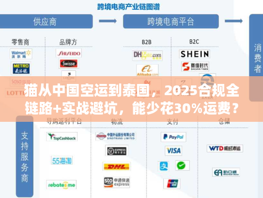 猫从中国空运到泰国,2025合规全链路+实战避坑,能少花30%运费? 猫从中国空运到泰国,2025合规全链路+实战避坑,能少花30%运费?