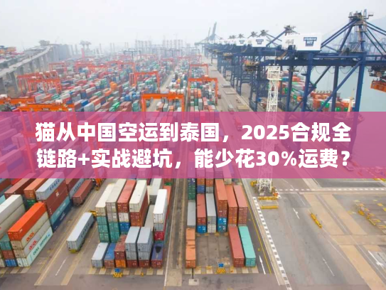 猫从中国空运到泰国,2025合规全链路+实战避坑,能少花30%运费? 猫从中国空运到泰国,2025合规全链路+实战避坑,能少花30%运费?