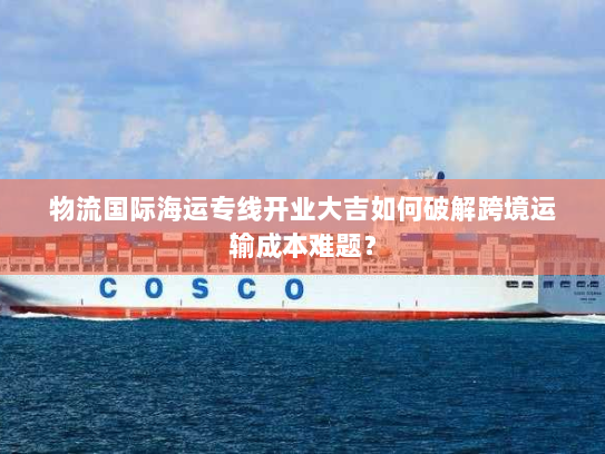 物流国际海运专线开业大吉如何破解跨境运输成本难题？