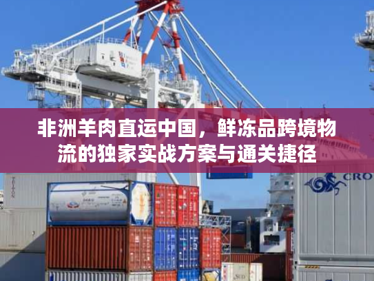 非洲羊肉直运中国，鲜冻品跨境物流的独家实战方案与通关捷径