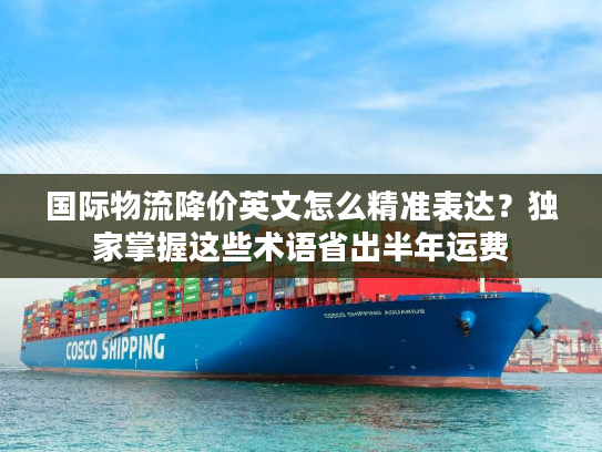 国际物流降价英文怎么精准表达？独家掌握这些术语省出半年运费
