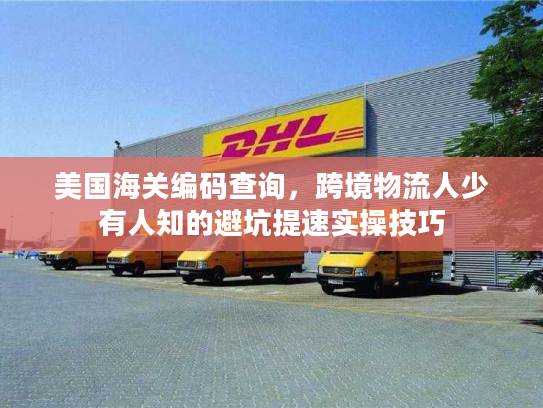 美国海关编码查询，跨境物流人少有人知的避坑提速实操技巧