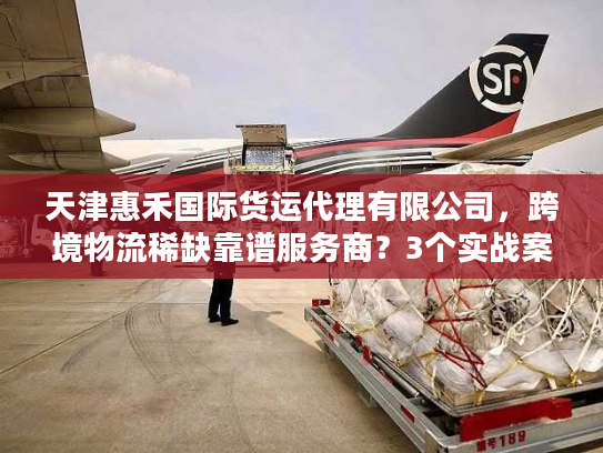 天津惠禾国际货运代理有限公司，跨境物流稀缺靠谱服务商？3个实战案例揭秘