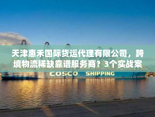 天津惠禾国际货运代理有限公司，跨境物流稀缺靠谱服务商？3个实战案例揭秘