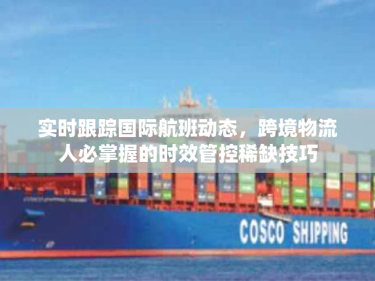 实时跟踪国际航班动态，跨境物流人必掌握的时效管控稀缺技巧