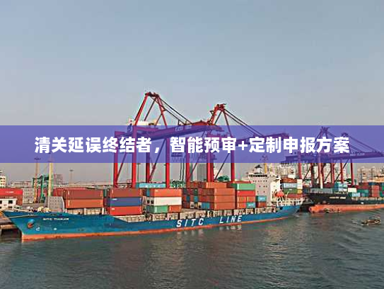 清关延误终结者,智能预审+定制申报方案 清关延误终结者,智能预审+定制申报方案