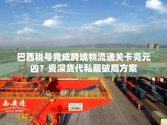 巴西税号竟成跨境物流通关卡壳元凶？资深货代私藏破局方案