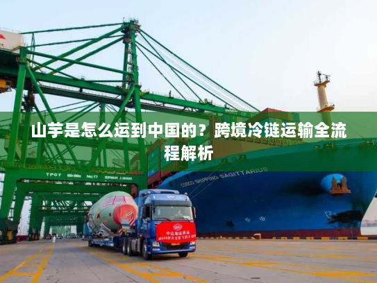 山芋是怎么运到中国的？跨境冷链运输全流程解析