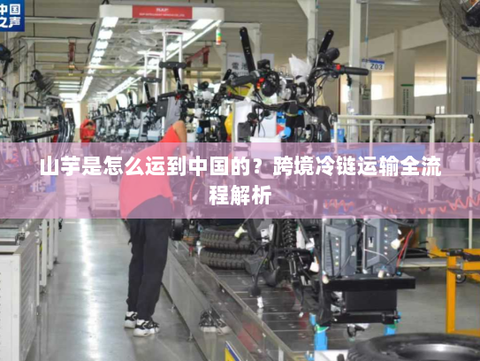 山芋是怎么运到中国的？跨境冷链运输全流程解析