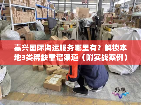 嘉兴国际海运服务哪里有？解锁本地3类稀缺靠谱渠道（附实战案例）
