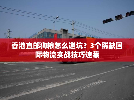 香港直邮狗粮怎么避坑？3个稀缺国际物流实战技巧速藏