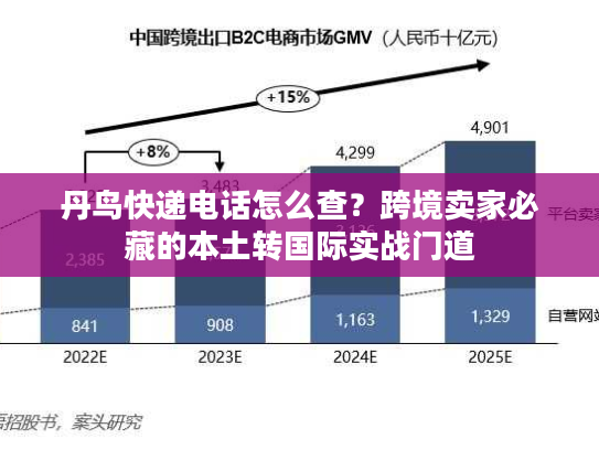 丹鸟快递电话怎么查?跨境卖家必藏的本土转国际实战门道 丹鸟快递电话怎么查?跨境卖家必藏的本土转国际实战门道