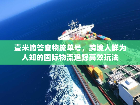 壹米滴答查物流单号，跨境人鲜为人知的国际物流追踪高效玩法