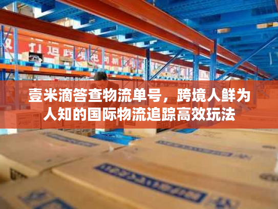 壹米滴答查物流单号，跨境人鲜为人知的国际物流追踪高效玩法