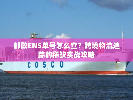 邮政ENS单号怎么查?跨境物流追踪的稀缺实战攻略 邮政ENS单号怎么查?跨境物流追踪的稀缺实战攻略