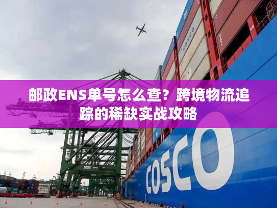 邮政ENS单号怎么查?跨境物流追踪的稀缺实战攻略 邮政ENS单号怎么查?跨境物流追踪的稀缺实战攻略