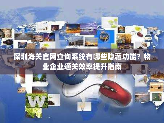 深圳海关官网查询系统有哪些隐藏功能?物业企业通关效率提升指南 深圳海关官网查询系统有哪些隐藏功能?物业企业通关效率提升指南