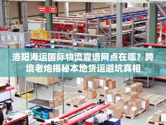 洛阳海运国际物流靠谱网点在哪？跨境老炮揭秘本地货运避坑真相