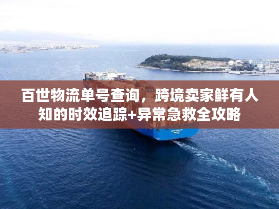 百世物流单号查询，跨境卖家鲜有人知的时效追踪+异常急救全攻略