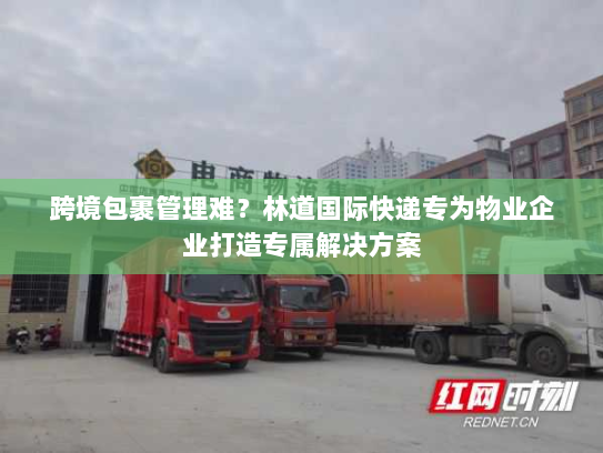 跨境包裹管理难？林道国际快递专为物业企业打造专属解决方案