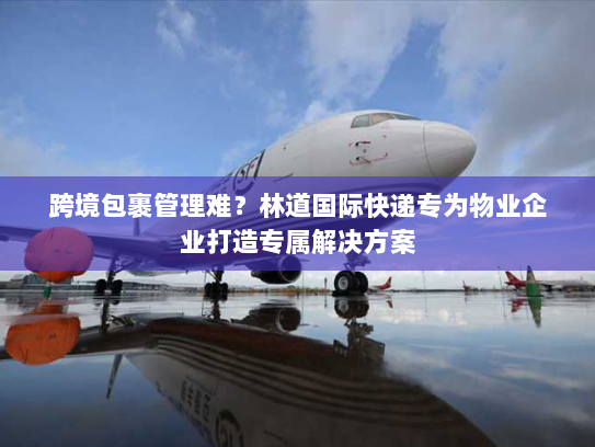 跨境包裹管理难？林道国际快递专为物业企业打造专属解决方案