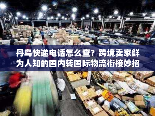 丹鸟快递电话怎么查？跨境卖家鲜为人知的国内转国际物流衔接妙招