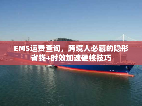EMS运费查询，跨境人必藏的隐形省钱+时效加速硬核技巧