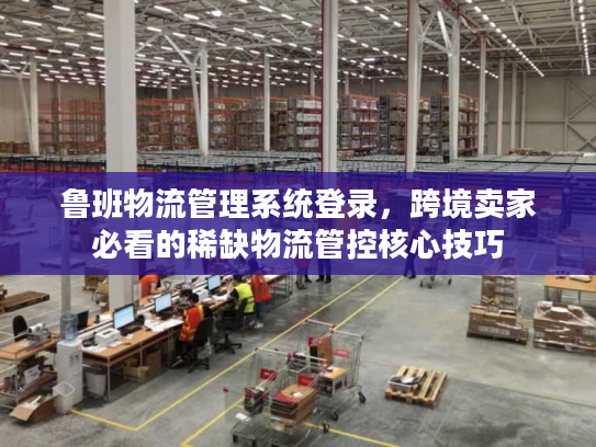 鲁班物流管理系统登录，跨境卖家必看的稀缺物流管控核心技巧