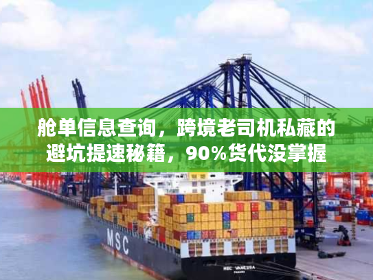 舱单信息查询，跨境老司机私藏的避坑提速秘籍，90%货代没掌握