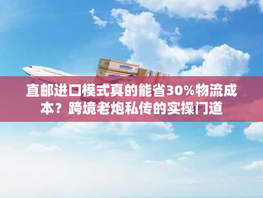 直邮进口模式真的能省30%物流成本？跨境老炮私传的实操门道