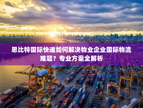 思比特国际快递如何解决物业企业国际物流难题？专业方案全解析