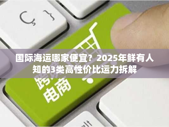 国际海运哪家便宜？2025年鲜有人知的3类高性价比运力拆解
