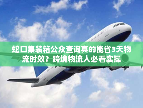 蛇口集装箱公众查询真的能省3天物流时效？跨境物流人必看实操