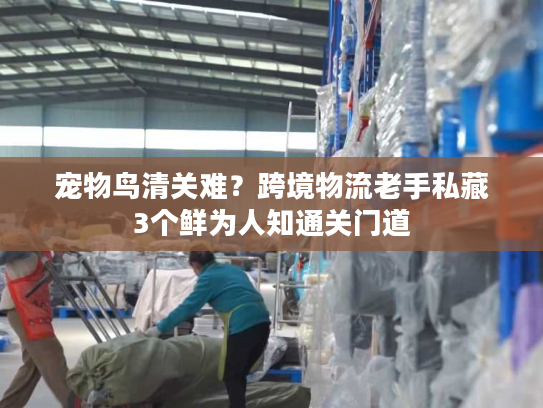 宠物鸟清关难？跨境物流老手私藏3个鲜为人知通关门道