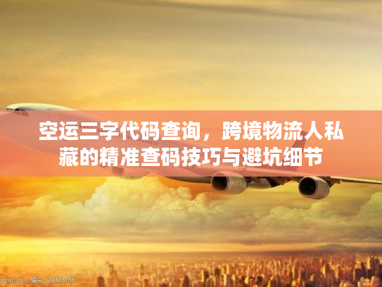 空运三字代码查询,跨境物流人私藏的精准查码技巧与避坑细节 空运三字代码查询,跨境物流人私藏的精准查码技巧与避坑细节