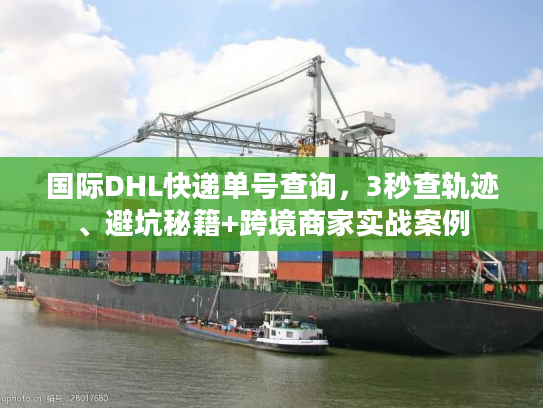 国际DHL快递单号查询，3秒查轨迹、避坑秘籍+跨境商家实战案例