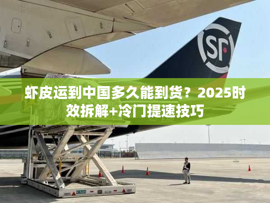 虾皮运到中国多久能到货？2025时效拆解+冷门提速技巧