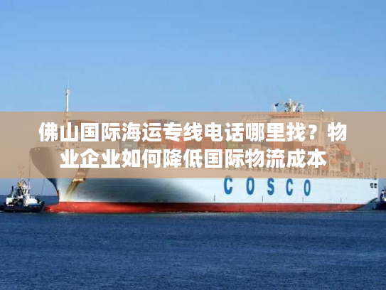 佛山国际海运专线电话哪里找？物业企业如何降低国际物流成本