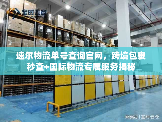 速尔物流单号查询官网，跨境包裹秒查+国际物流专属服务揭秘