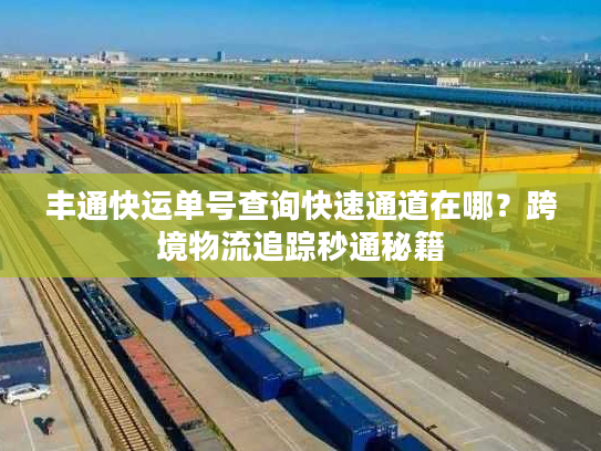 丰通快运单号查询快速通道在哪？跨境物流追踪秒通秘籍