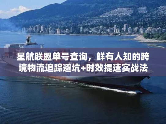 星航联盟单号查询,鲜有人知的跨境物流追踪避坑+时效提速实战法 星航联盟单号查询,鲜有人知的跨境物流追踪避坑+时效提速实战法
