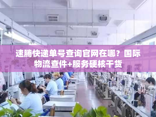 速腾快递单号查询官网在哪？国际物流查件+服务硬核干货
